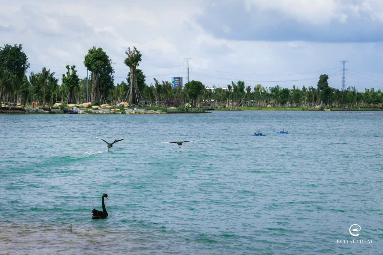ĐÁNH GIÁ TÁC ĐỘNG MÔI TRƯỜNG