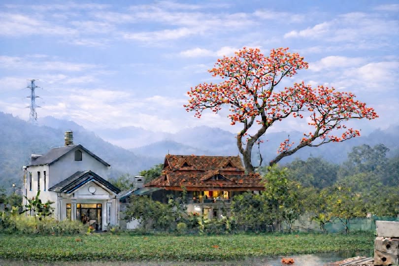 Em là mùa đông của anh - Hoàng Thanh