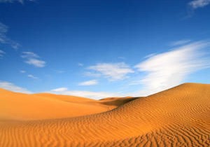 Trồng cây ở sa mạc giúp giảm nhẹ biến đổi khí hậu