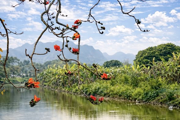 Em Có Về Với Tháng Ba - Hoàng Thanh